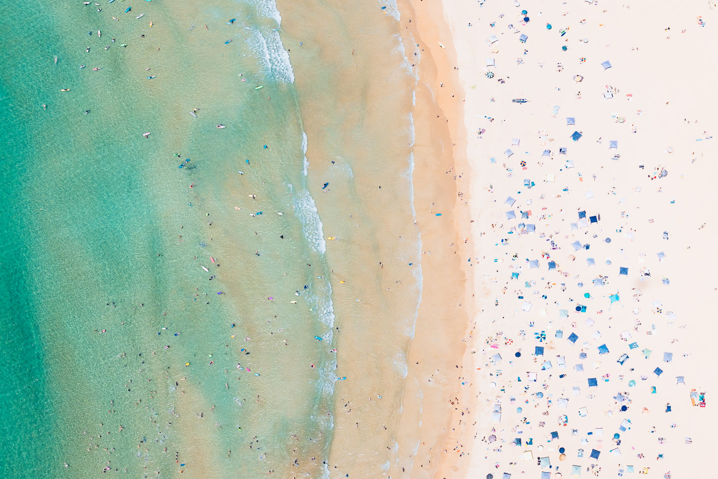 Freshwater Beach V