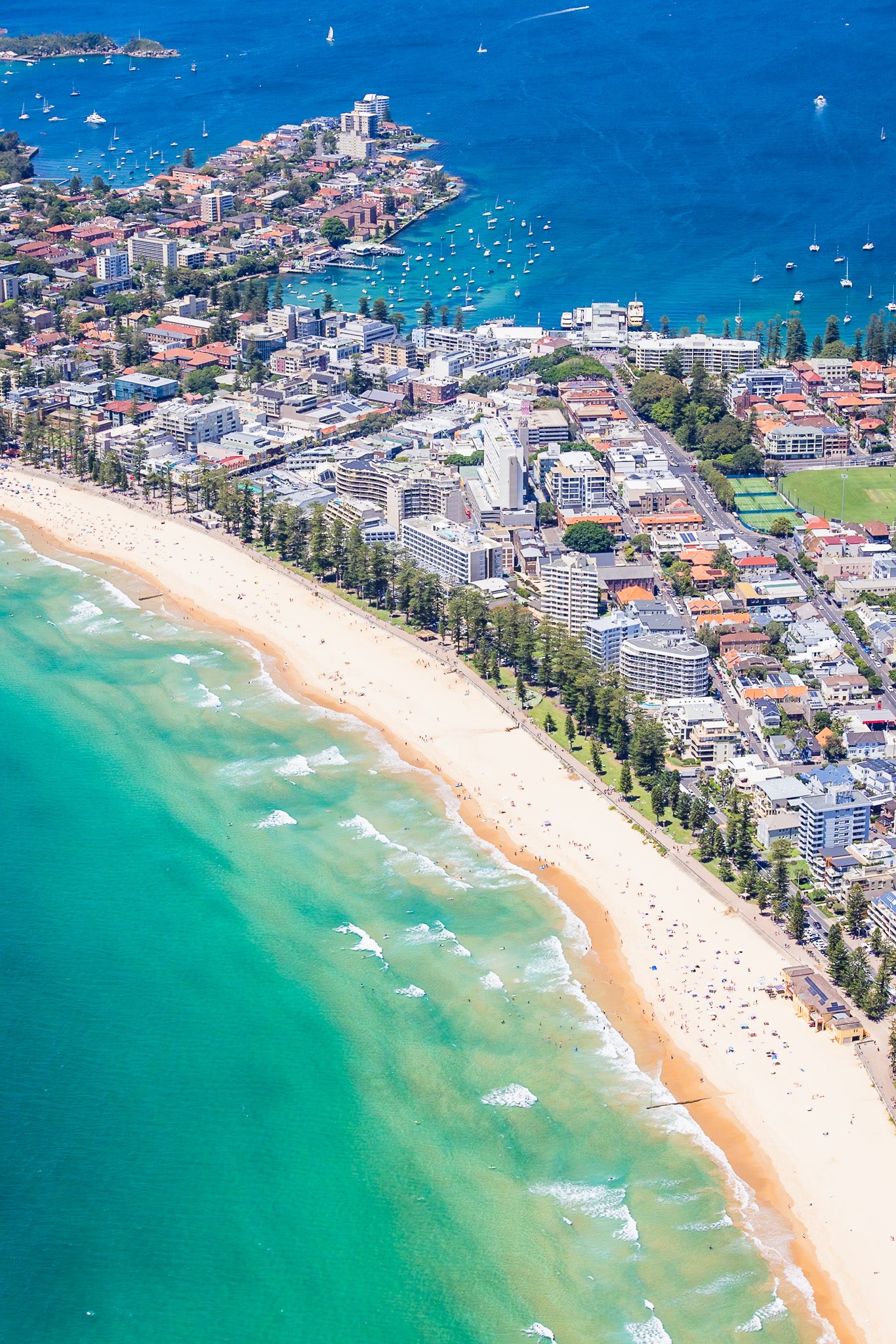 Manly Beach Vertical II