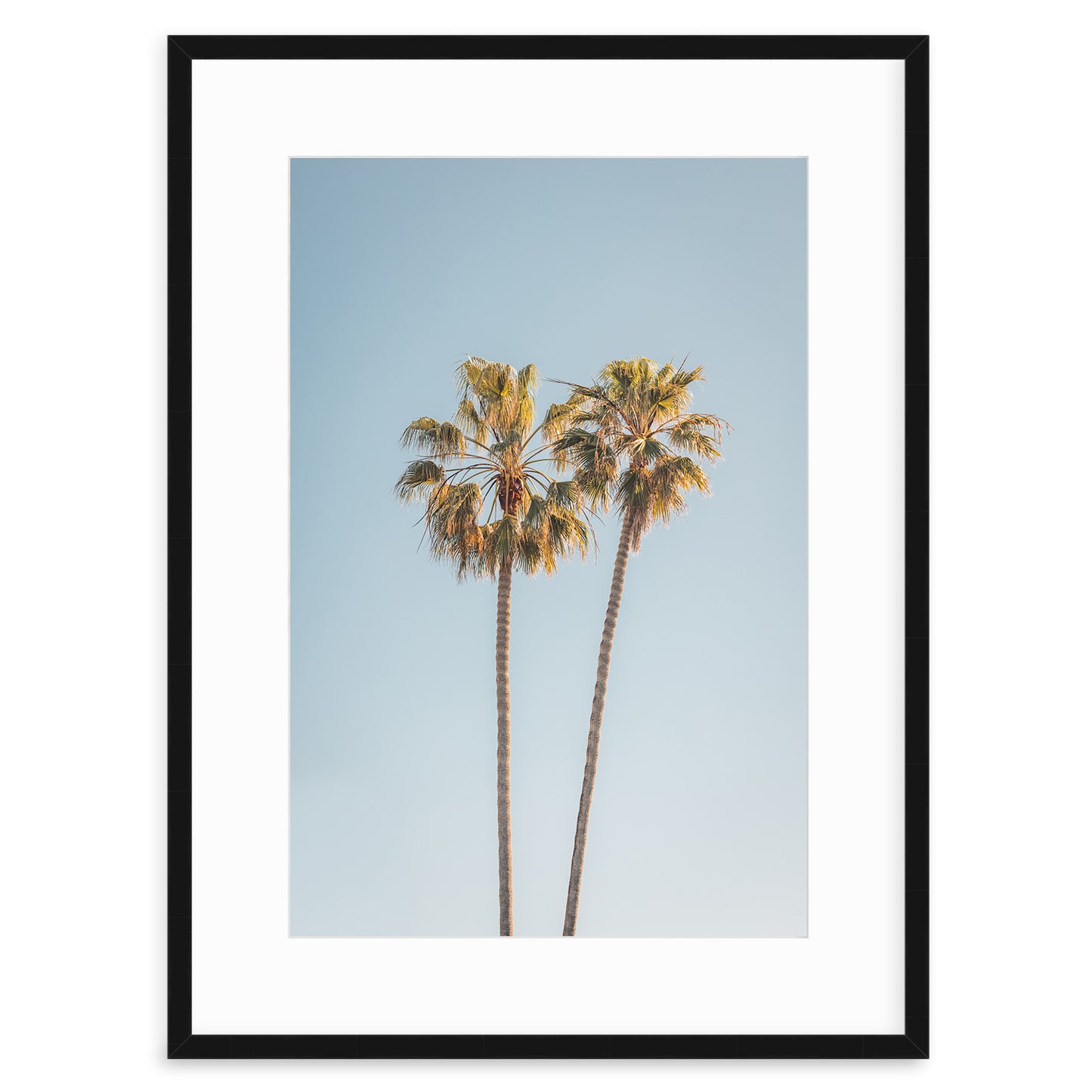 Two Palms, Del Mar