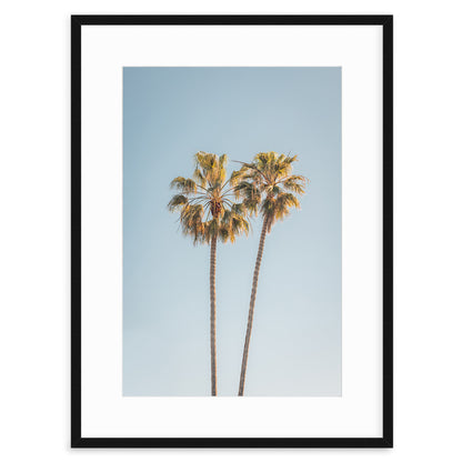 Two Palms, Del Mar