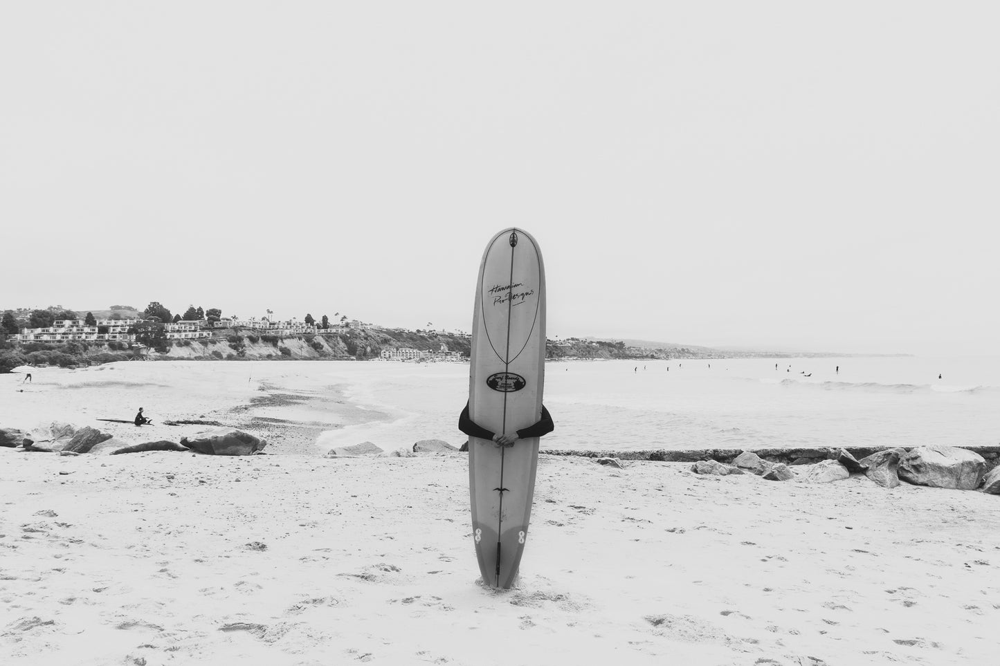 Surfs Up I