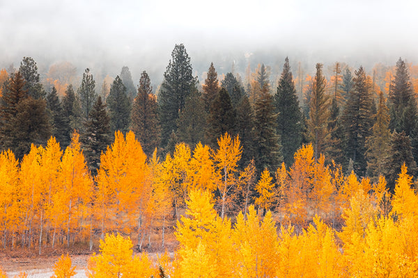 Kalispell Autumn