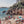 Billionaires Bay I