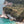 Cathedral Cove Overlook