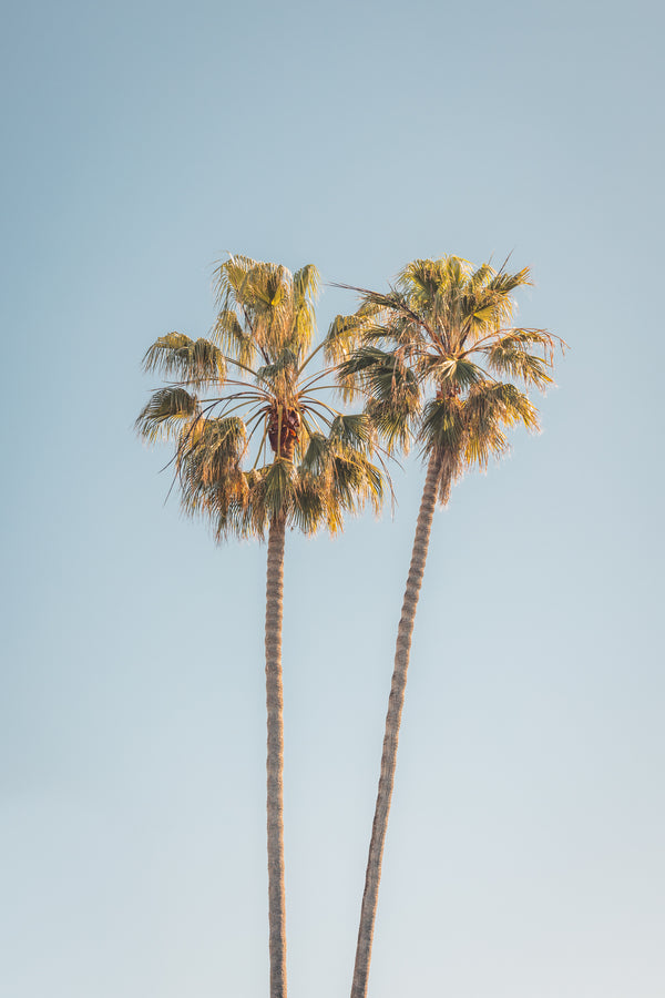 Two Palms, Del Mar