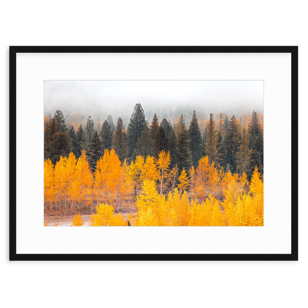 Kalispell Autumn