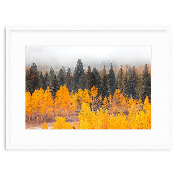 Kalispell Autumn