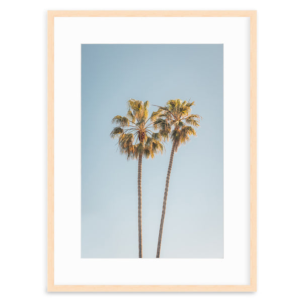 Two Palms, Del Mar