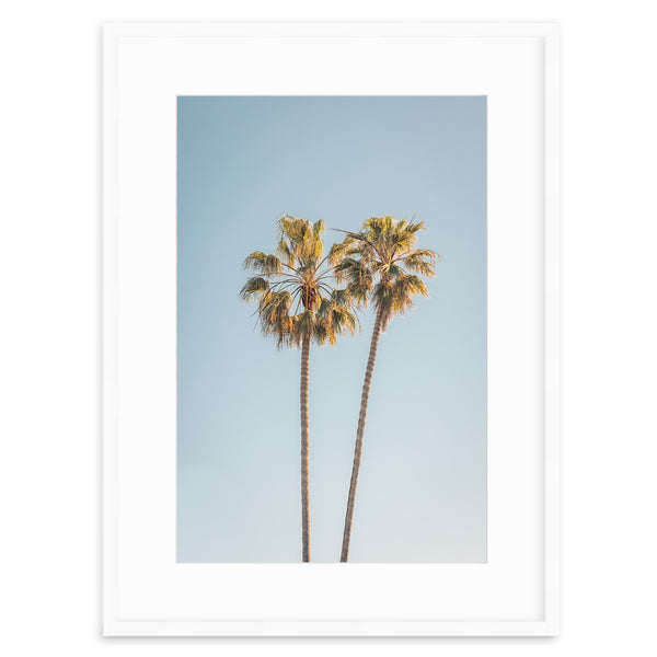 Two Palms, Del Mar