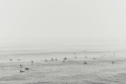 Mission Bay Surfers I