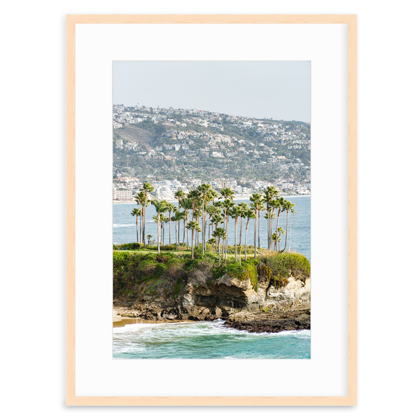 Crescent Bay Palms