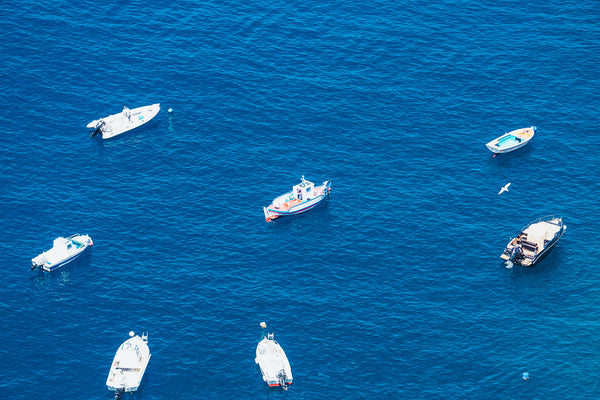 Birds Eye View