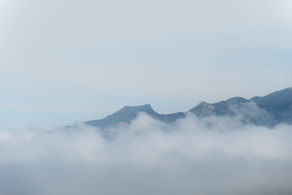 Foggy Coastline II