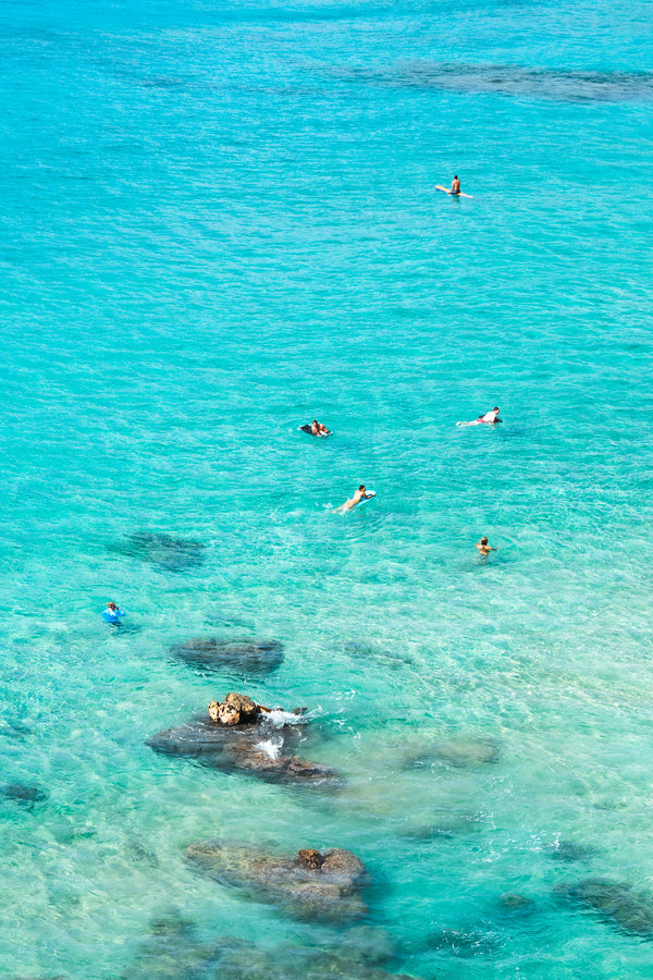 Hanolua Bay Swimmers
