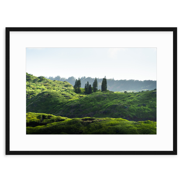 Hawaiian Greenscape I