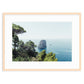 Capri Overlook