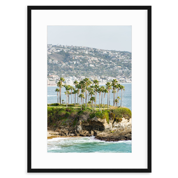 Crescent Bay Palms