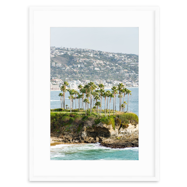 Crescent Bay Palms