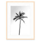The Palm